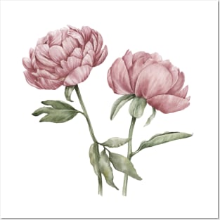 Pink Peonies Posters and Art